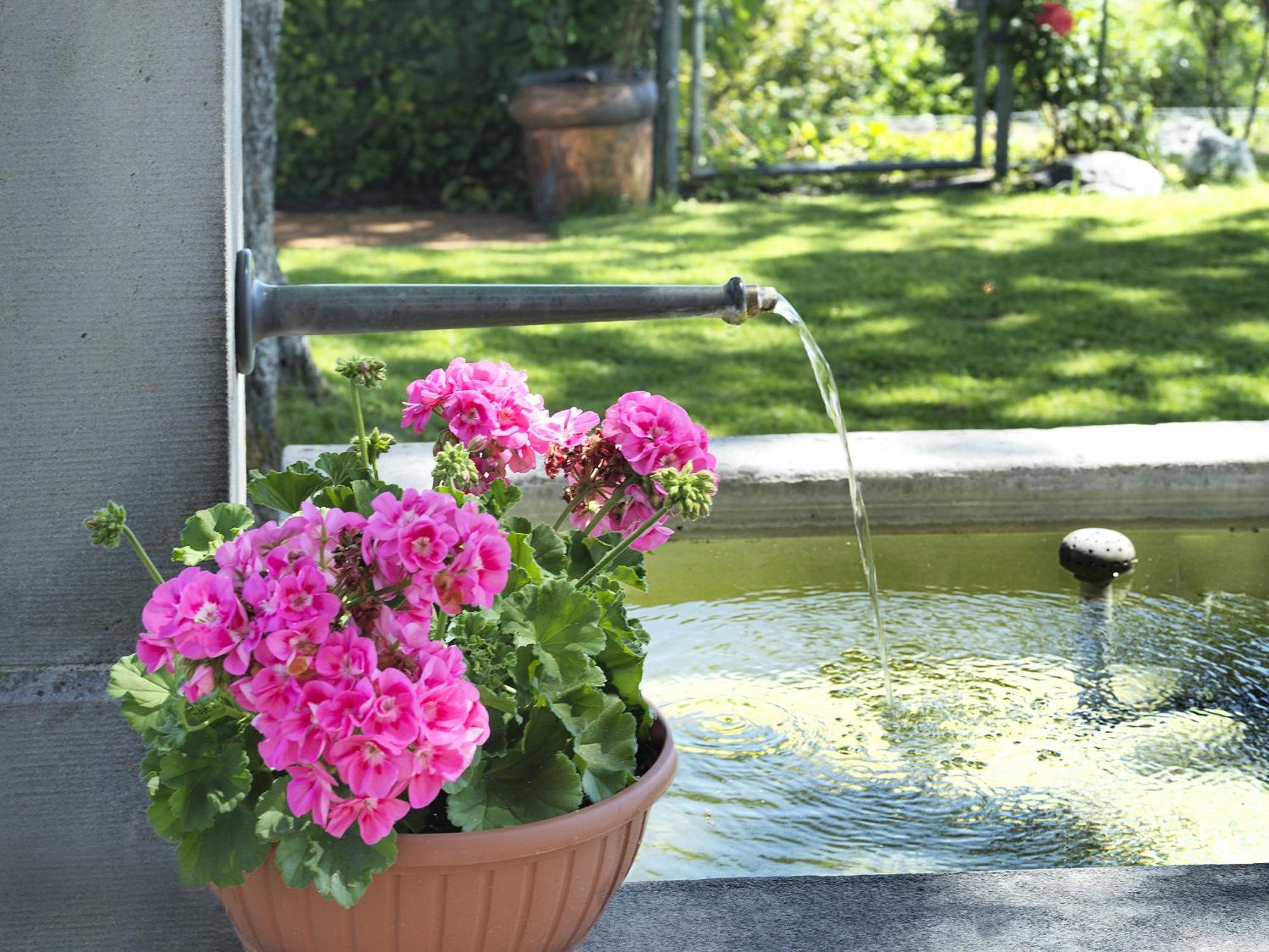 Bed and Breakfast Alpenheim Teufen Exterior foto